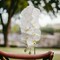 6-Pack: Massive White Phalaenopsis Orchid Stem, Floral Home by Artificial Flowers